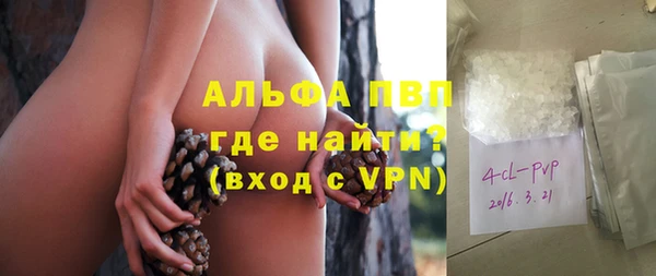 амф Заволжье