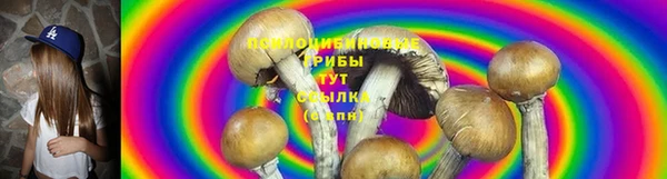 mdma Дмитриев
