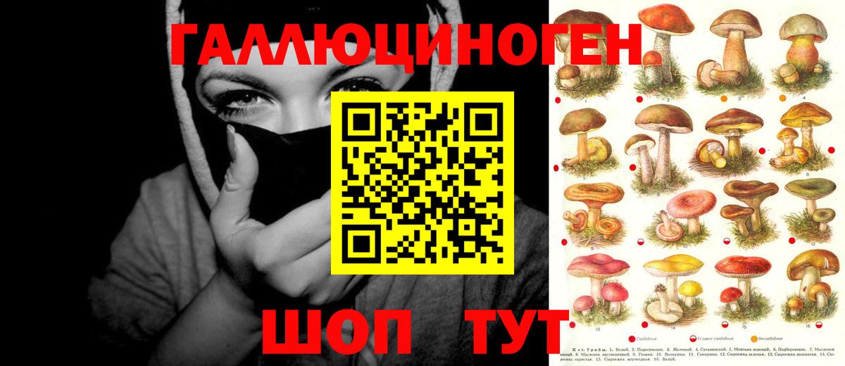 Псилоцибиновые грибы GOLDEN TEACHER Котельники